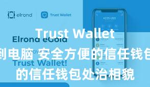 Trust Wallet怎么下载到电脑 安全方便的信任钱包处治相貌