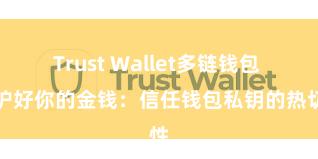 Trust Wallet多链钱包 保护好你的金钱：信任钱包私钥的热切性