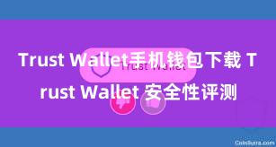 Trust Wallet手机钱包下载 Trust Wallet 安全性评测