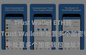 Trust Wallet ETH转账 如安在Trust Wallet中处置多个加密钱包地址？