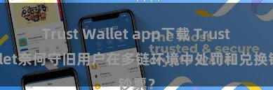 Trust Wallet app下载 Trust Wallet奈何守旧用户在多链环境中处罚和兑换钞票？